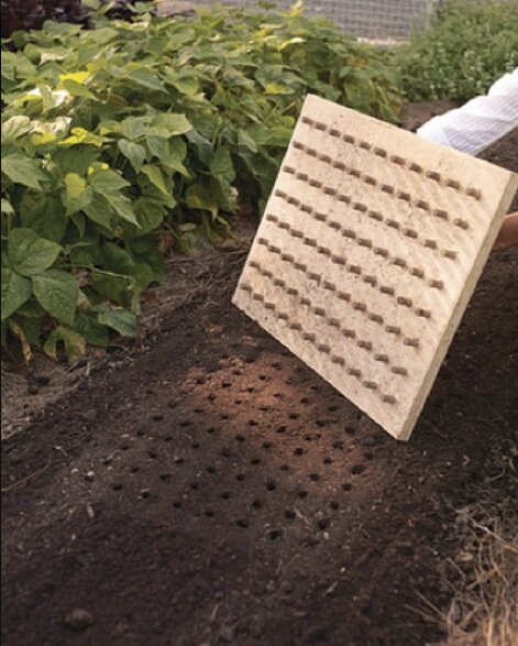 susan_acer_tu's tweet photo. How quick&amp;easy would this B 4 home&amp;school gardening?Mass dibbler(tool2make seed hole)plant seed size of seed depth.RT http://t.co/qJu7yvp3