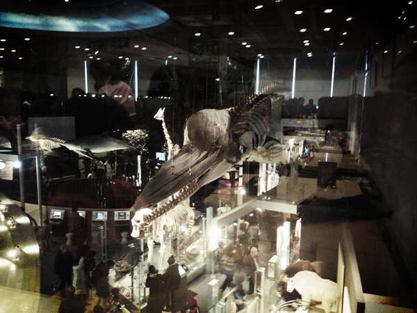 tetsu　yama tweet media