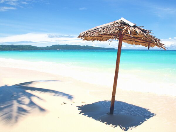 TankParesh's tweet image. good morning have a nice day