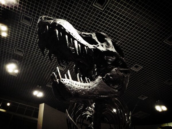 tetsu　yama tweet media