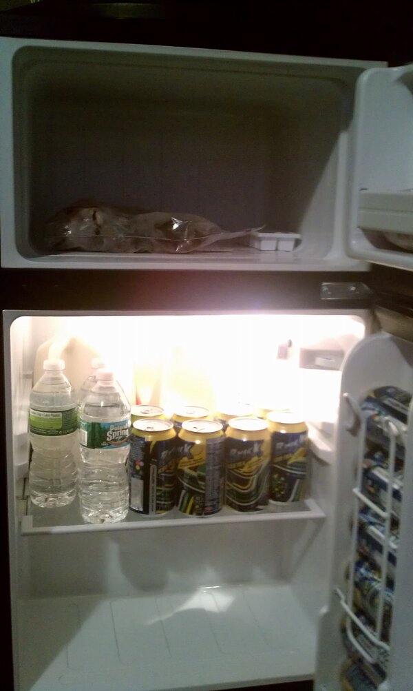 MikesBallPython's tweet image. Mini fridge with freezer works great need to get more mice