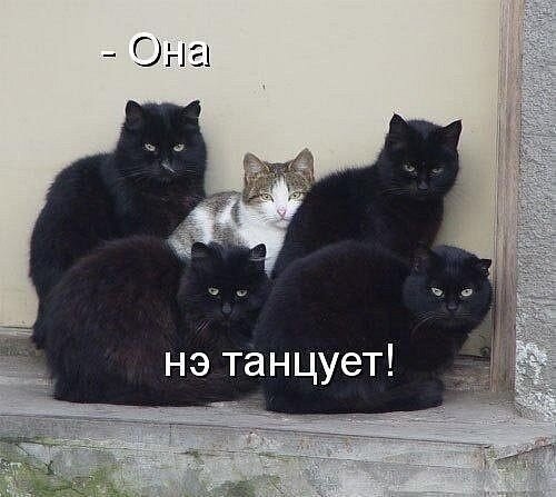 A G (@alikgold) on Twitter photo 