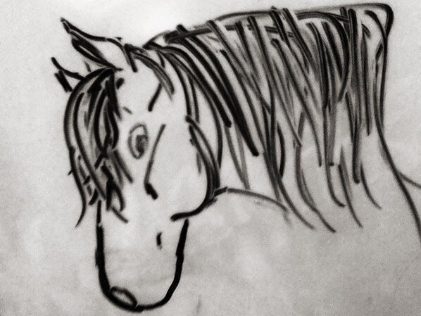 QueenEquine's tweet photo. My lovely drawing!!  http://t.co/Cj21H5Cl