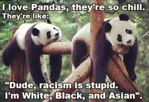 hena_h's tweet image. Dude - I'm white back and Asian! Love this!! #RacismIsStupid