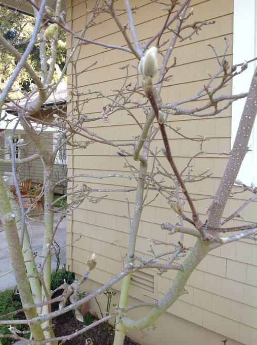 Watch Oprah Winfrey's leaked NSFW photo on TwXstars