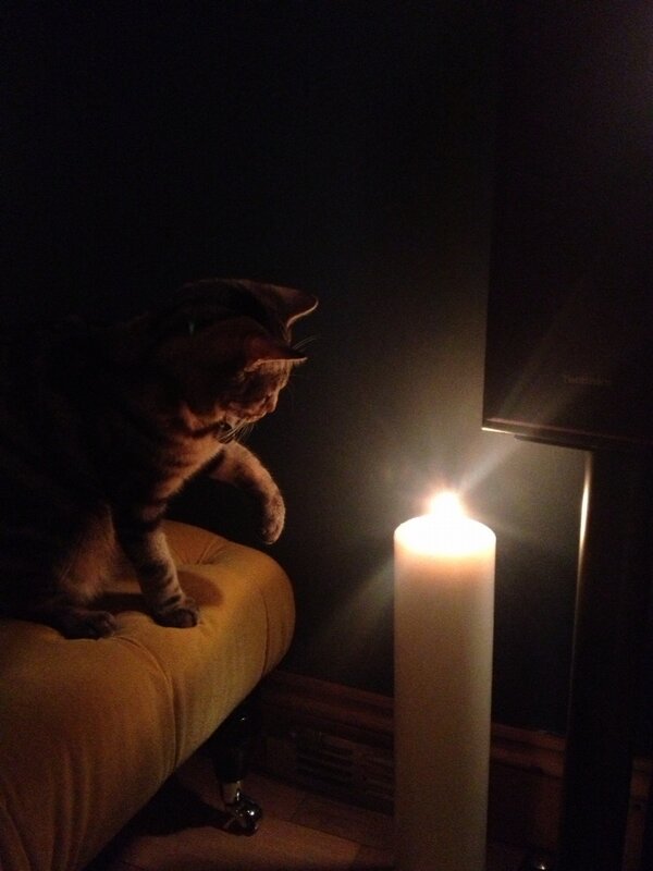 Cat meet fire. Fire meet whiskers.