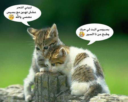 خايف لا تخونة