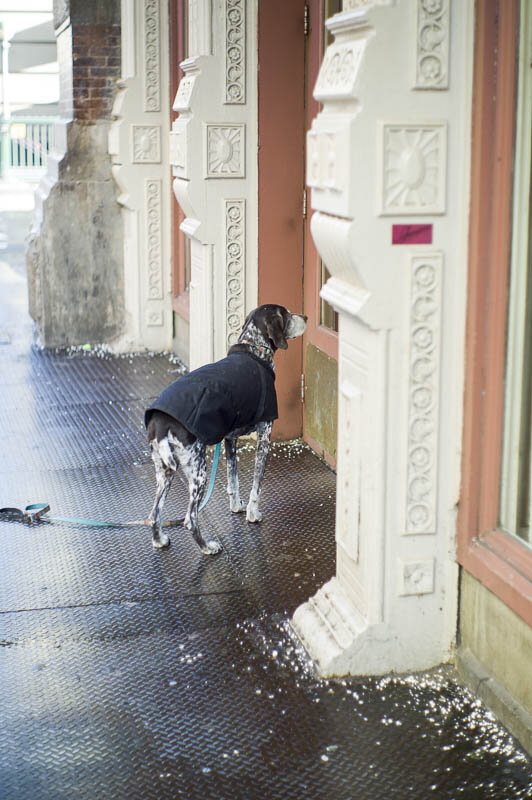broadwaywalk's tweet photo. Dean, waiting for DeLuca on Broadway. by Laurent Burst Direct-Link to the Online-Gallery:  http://t.co/Ftd0Enbf http://t.co/kj3NOnLH