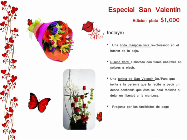 Raulvh's tweet photo. Regalos originales para este 14 de Febrero #Saltillo Regala mariposas vivas para liberarlas y pedir un deseo http://t.co/o2TxsObn