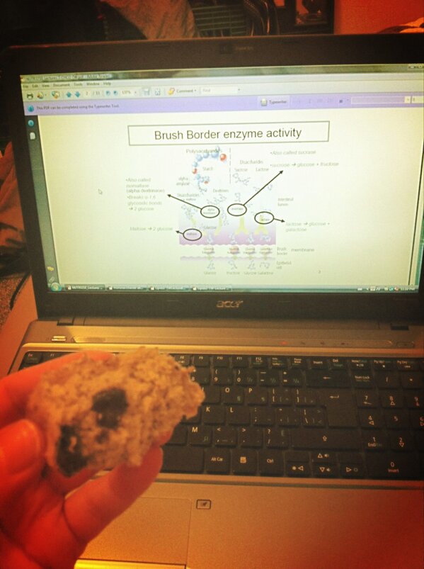 mrskchar's tweet image. Homemade study comfort food of the day: chocolate chip banana muffins. #bakingmachine #iheartmykitchenaid