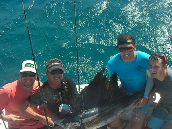 FishEarlyBird's tweet photo. Another sail caught a few days ago in 15' of water chasing ballyhoo http://t.co/WVr3eybU