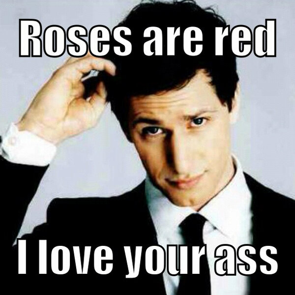 "Love is being stupid together" -Paul Valery #instalolcaption #adamsandberg #valentine #truelove #love #meme