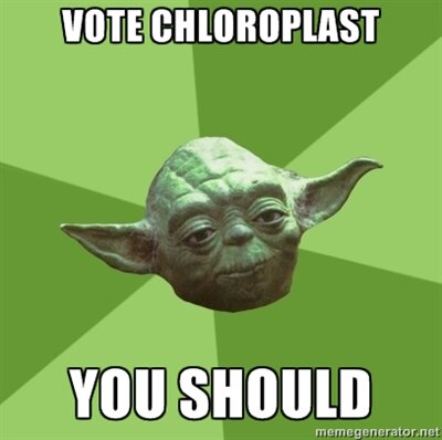 PhyllPlast's tweet photo. here we go less than 36 hours to election day #organelleelection2013 #teamplantcell http://t.co/SotZOLcF