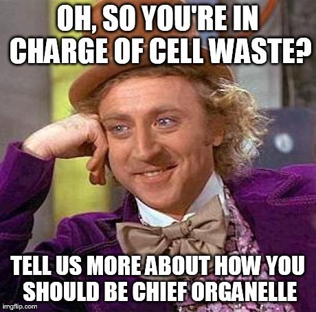 babysmooth_er's tweet photo. Why vote for Lysosomes again??? #organelleelection2013 http://t.co/KLiIPQaG
