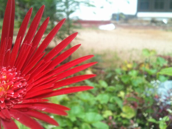 ratedusk tweet picture