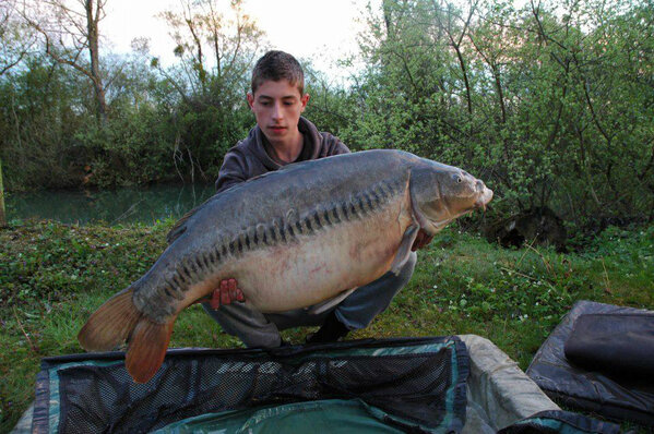 carplove1's tweet photo. #BCA! (beautiful carp Alert) http://t.co/zkm2hqgv9w