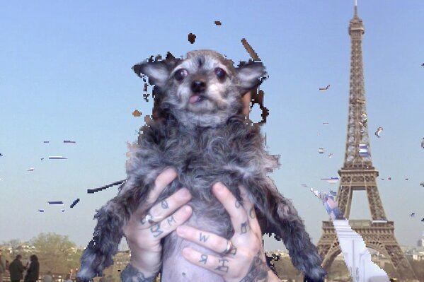FrankIero's tweet photo. SACRE'BLEU!!!! http://t.co/XN9GRzg6BL