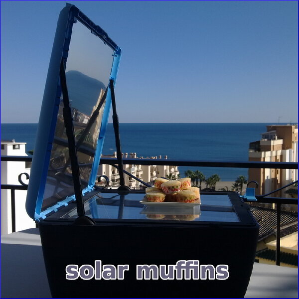 Muffins prepared in the #solar oven .. delicious #permaculture