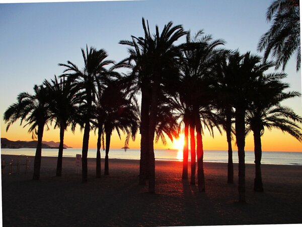 La Vila Joiosa (@lavilaesbella) on Twitter photo 