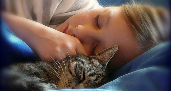 PerfectCode_'s tweet image. Февраль оказался  самым неудачным месяцем для сна.
milyaeva.com/?p=1383