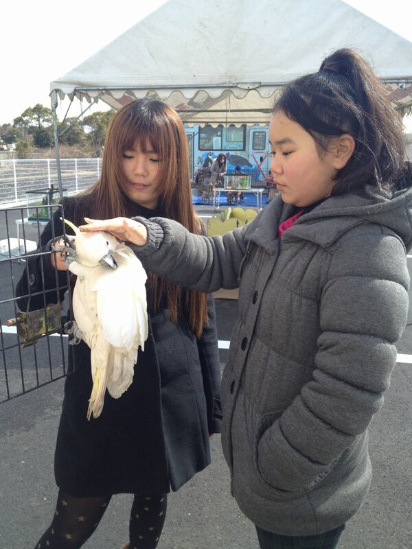 滋賀県守山市の堀井動物園について 4ページ目 Togetter