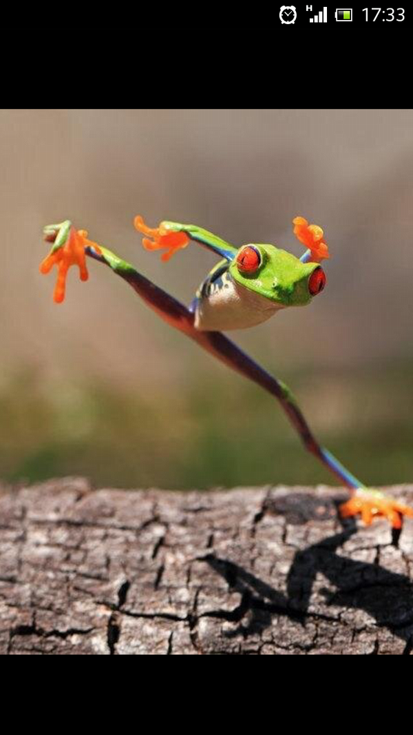 Ola ke ase <a href="/depablov/">K</a> <a href="/YaumaB/">JAIME BERNAR</a>