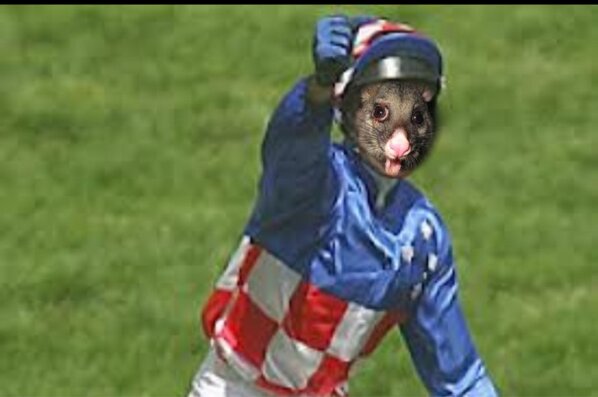 Glen Poss <a href="/boss_glen/">GLEN BOSS</a> @brodiemoles <a href="/HugeBowman/">Hugh Bowman</a> <a href="/Kathy_ohara/">Kathy O'Hara</a> <a href="/Speedway_Jock/">Mark Whiteman</a> @MichaelRodd2 @Tanita_Vella @daniel_moor