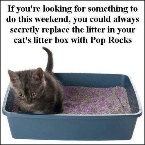 bored?  maybe this....