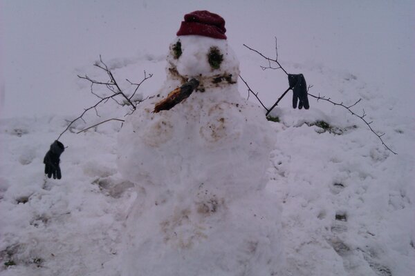Sebasarango8 tweet picture