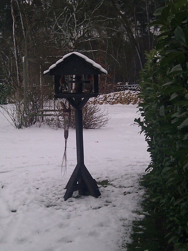 De vogeltjes hebben lol:-)