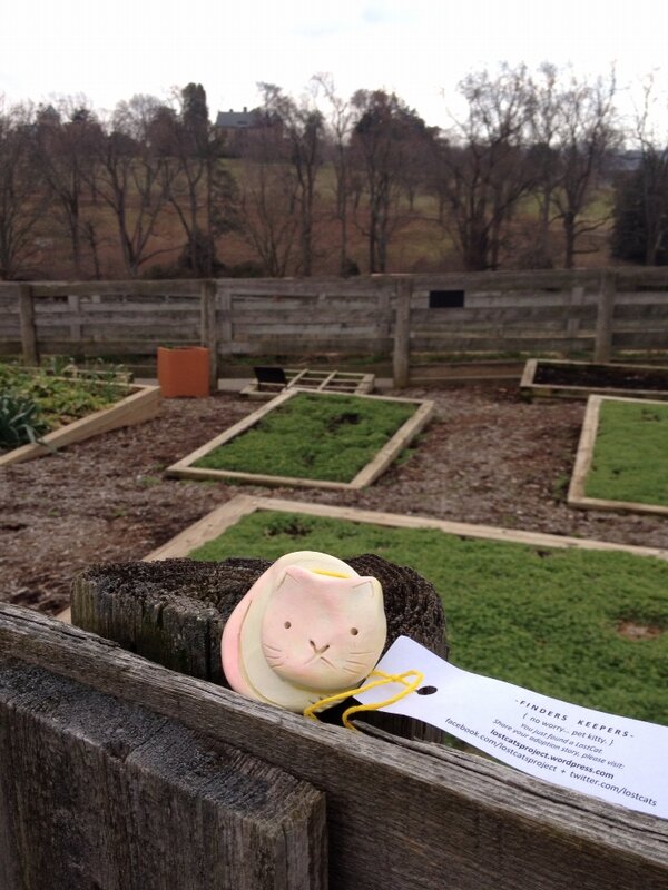 lostcats's tweet photo. No worry... Pet kitty. @maymont veg garden near barn. Adopt me! http://t.co/Ze3ExqpLZ9