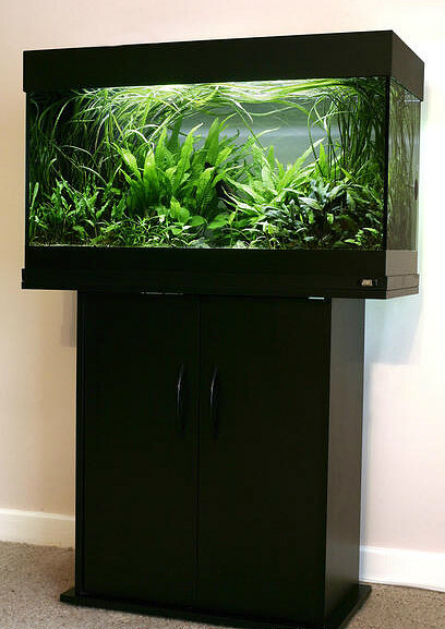 fluval rio 125