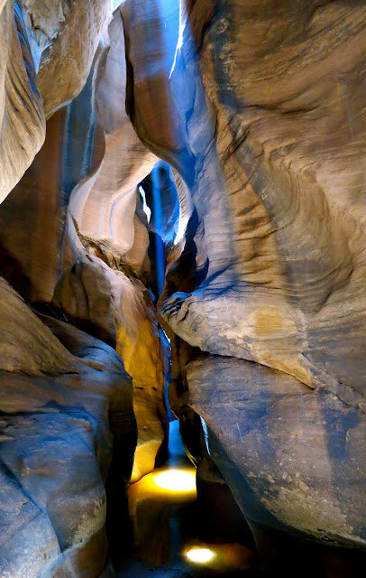 Canyon Collective tweet media