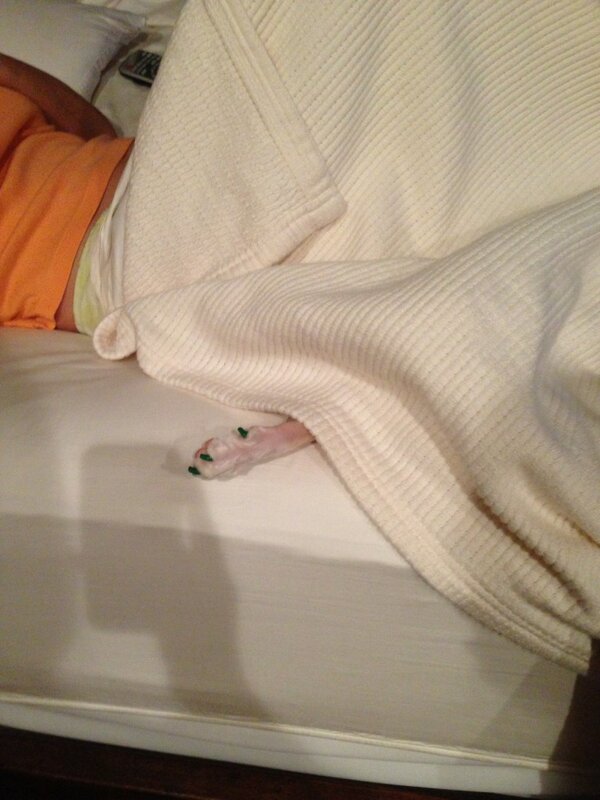 Fannypackcats's tweet photo. SAVE ME http://t.co/qUzY5wMQ6B