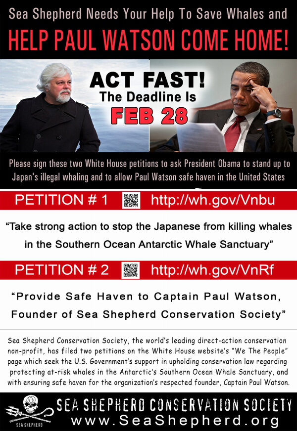 SeaShepherdNL's tweet photo. Teken de Petitie, we hebben nog 4 dagen om #PaulWatson veilig thuis te laten komen.
http://t.co/2AtvZvtM9D http://t.co/4lMpPYYzZ7