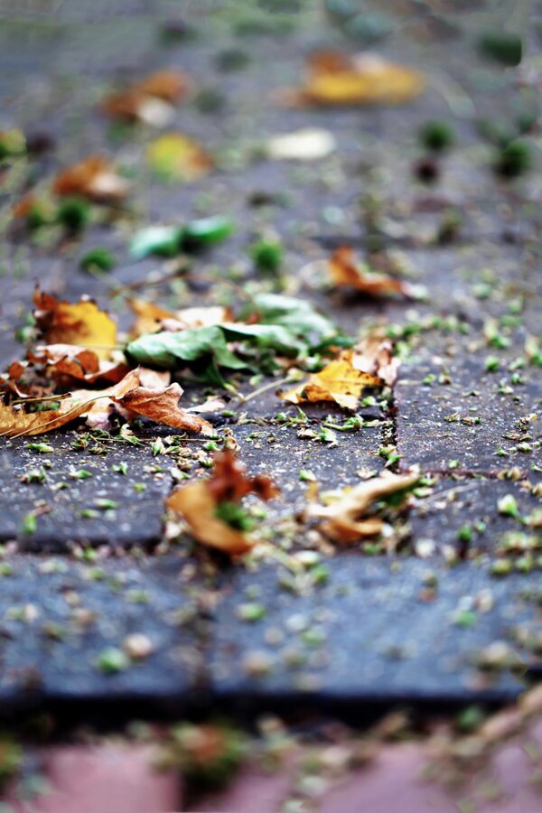 hazel_melbourne's tweet image. Is that gonna be in fall?