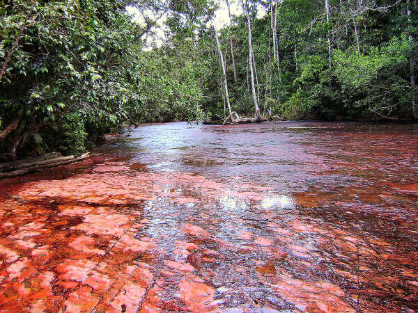 JulioCesar1511's tweet photo. Una de las bellezas de Venezuela! http://t.co/pEVYmCUiQb