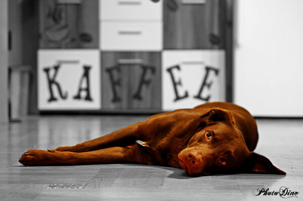 Photo Dine (@photodine) on Twitter photo 