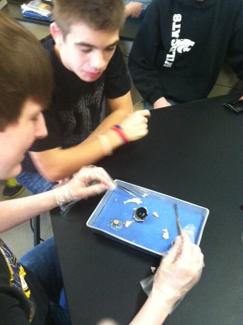 JHSScience tweet picture