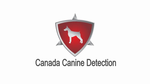 BedBugsDog's tweet photo. Our little "Bandit" the bed bug dog is busy busy busy in Toronto! http://t.co/YPRs6gll http://t.co/WyQ4zAdf