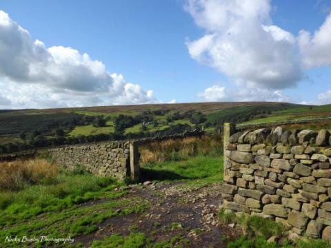 stecroz's tweet image. "@Yorkshireimages: #YorkshireHour Our beautiful landscape! RT if you LOVE #Yorkshire I do!! :) http://t.co/ZO9XZjWA" #echothat
