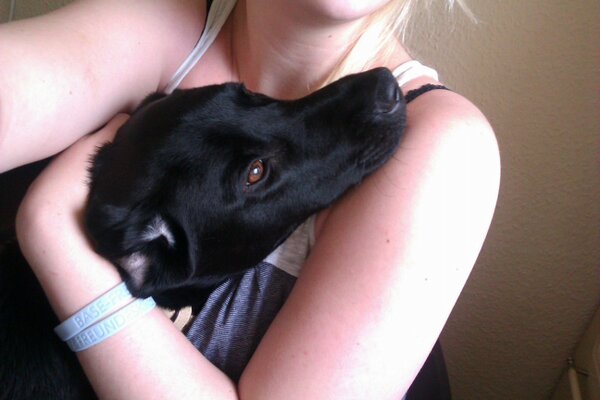 Jacob_bestdog's tweet photo. Mummys Arms - the safest place on earth. <3 http://t.co/tBdKyavB