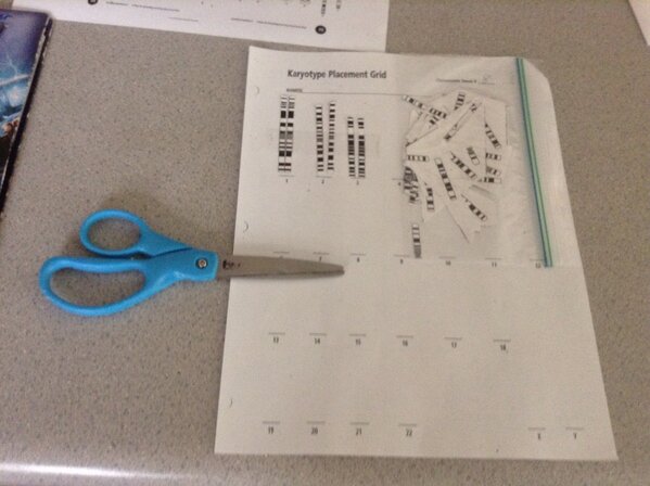 GamerNick26's tweet image. Bitches be kickin&apos; it old school #sciencehomework