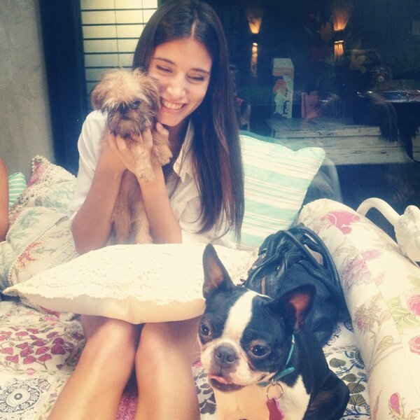 Link permanente da imagem incorporada