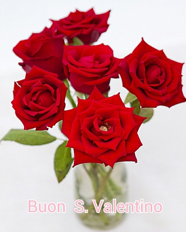 ilnonnosaggio's tweet photo. R.z. http://t.co/IEdcxmGz