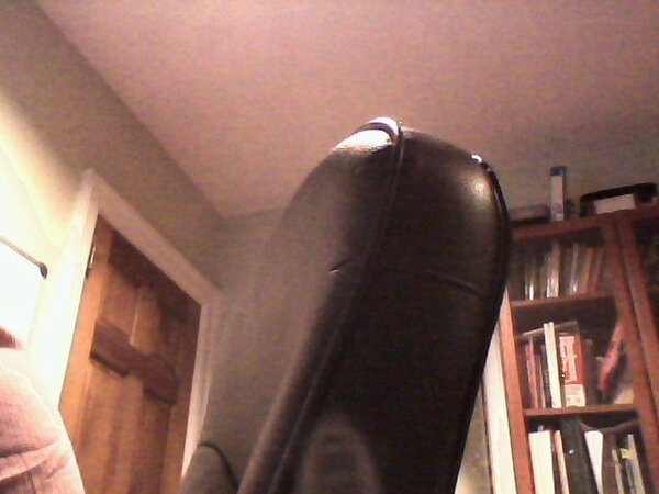 Kaylee is home! (Autopost from Karotz)