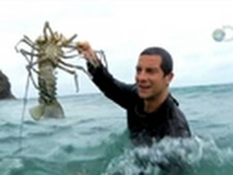 wanxiaofang's tweet photo. I'm watching the playlist Best of Man Vs. Wild on @MotivApp.
https://t.co/g94rtMRf http://t.co/mdNI34YT