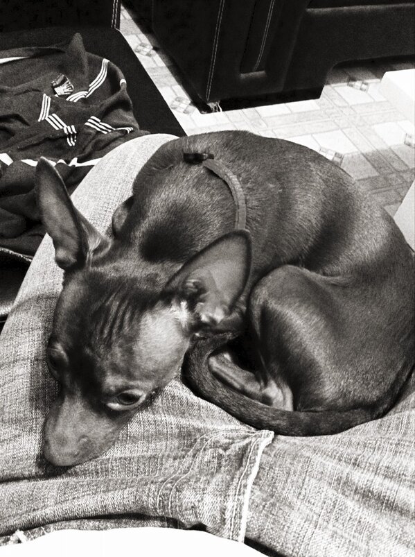 RIKARDIU's tweet photo. @aliciaro11  esta triste porque no lo has venido a visitar http://t.co/yiIAcm4m