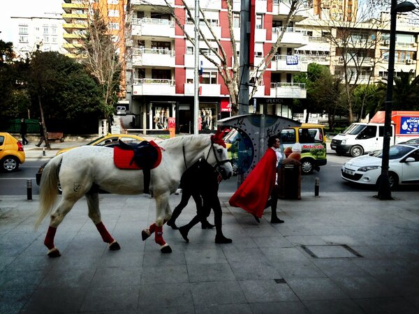 iCadde's tweet image. Bağdat Caddesinde sevgililer gününe özel beyaz atlı prens dolaşıyor