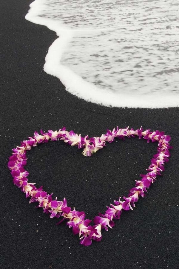 princessccx's tweet photo. #HappyValentinesDay http://t.co/6ZeaY0Qo